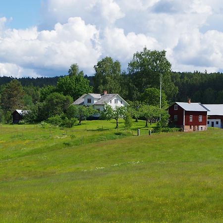 The Sheep Inn B&B Prasthog Kültér fotó