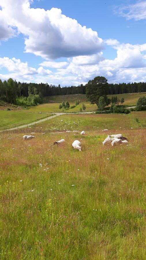 The Sheep Inn B&B Prasthog Kültér fotó